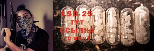 шишки Новокубанск