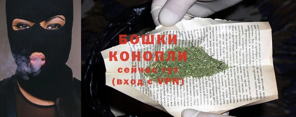 шишки Новокубанск
