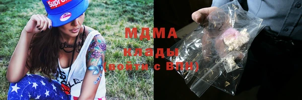шишки Новокубанск