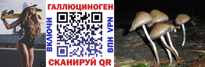хочу   Пыталово  Галлюциногенные грибы MAGIC MUSHROOMS 