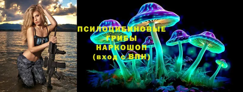 kraken ONION  как найти закладки  Пыталово  Галлюциногенные грибы Cubensis 